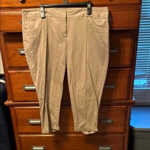 Style & Co. Women's Tan Pants